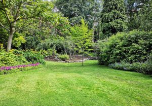 Optimiser l'expérience du jardin à Preignac